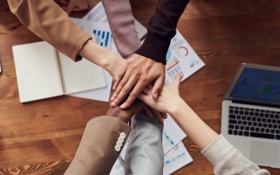 NEW: VISICON Systems – SAP-Basis Dienstleister